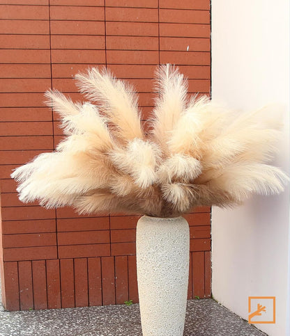 ZIFTY 7-Pcs 38"/3.1FT Faux Pampas Grass Large Tall Fluffy Artificial Fake Flower Bedroom Decor Boho Decor Bulrush Reed Grass for Vase Filler Farmhouse Home Wedding Decor (Beige Mixed)