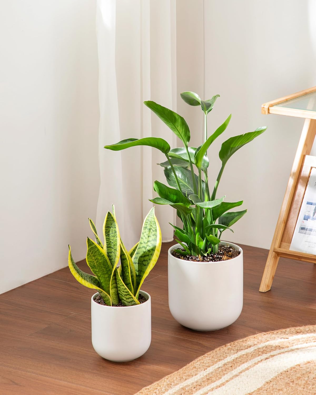 vancasso Ceramic Plant Pots, 4+5+6 inches, Set of 3, Planters with Drainage Hole, Flower Pots Planters Pots for Indoor Plants, Modern Indoor Decorative Garden Pot, Home Decor, White