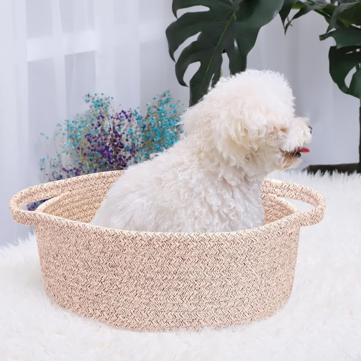 ABenkle Small Basket with Handles, Boho Decorative Rope Woven Dog Cat Toy Storage Bin Shelf Storage Organizer, Easter Christmas Gift Basket, 12"x8"x5", White