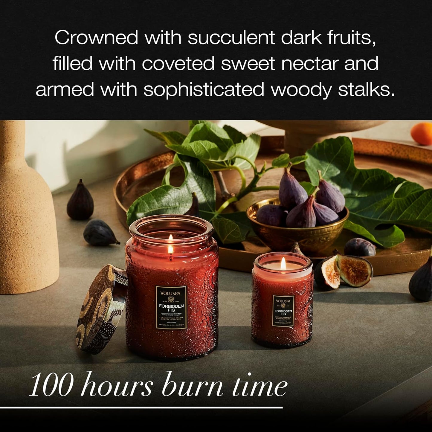 Voluspa Baltic Amber Candle, 18 oz, Coconut Wax Blend, Scented Candles for Home, 100 Hour Burn Time, Candle Jar