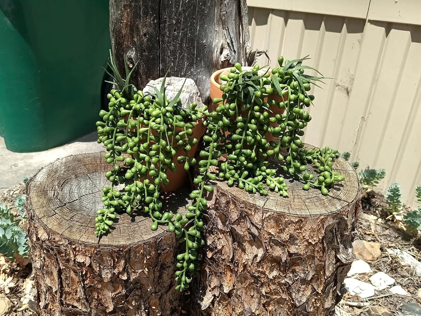 RECUTMS 6pcs Artificial Succulents Hanging Plants Fake Hanging String of Pearls Plant Faux Greenery Wall Plants for Spring Indoor Outdoor Home Bedroom Patio Garden Easter Decor