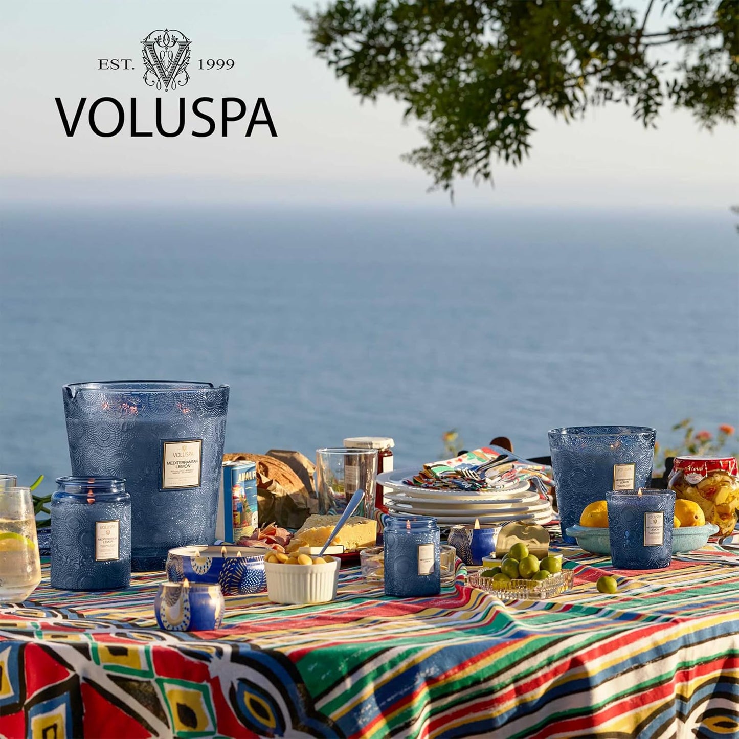 Voluspa Baltic Amber Candle, 18 oz, Coconut Wax Blend, Scented Candles for Home, 100 Hour Burn Time, Candle Jar