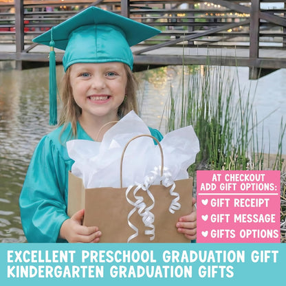 Hadley Designs 16 Educational Posters for Toddler Learning Activities - Laminated Pre-K Posters for Toddlers 1-3, Homeschool Essentials & Preschool Learning Activities, Kindergarten Classroom Decor