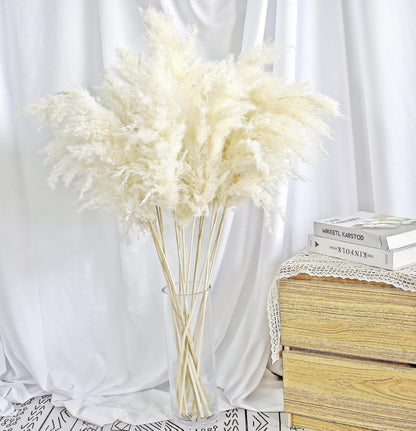 Pampas Grass Decor, Natural Dry Pampas Grass Small, Short Pampass Bulk for Farmhouse, Wall, Kitchen, Bedroom Decor, Office Decor (17 inch )