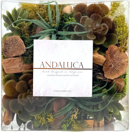 ANDALUCA Maison Box Fragrance Potpourri Decorative Vase & Bowl Filler Home Décor (Coconut Sandalwood)