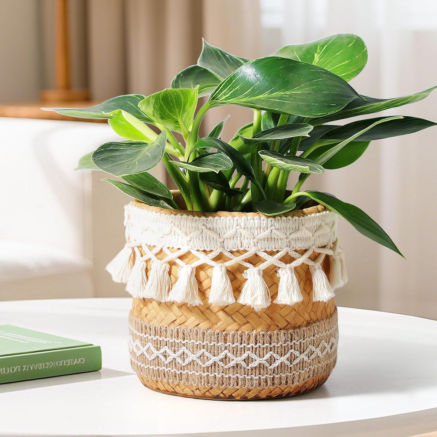vomiceak Face Planter Pots Head, Planters for Indoor Plants - Double Cute Plant Pots for Flower & Succulent with Drainage Holes - Gift Ideas for Women (White Lady)