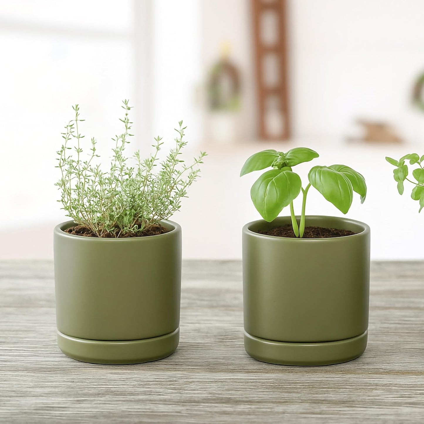 D'vine Dev 6.5 Inch Ceramic Planter Pot with Drainage Hole and Saucer, Indoor Cylinder Round Planter Pot, Olive, 94-O-C-J