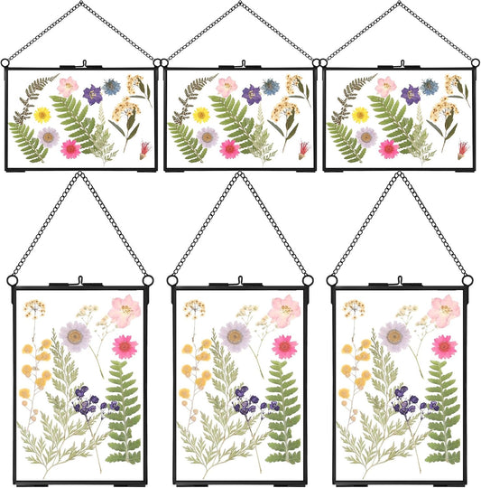 Treela 6 Pcs Pressed Flower Glass Picture Frames 6 x 4 Inch Brass Hanging Double Glass Frame Gold Floating Photo Frame Clear Horizontal Vertical Frames with Chain for Gallery Vintage Artwork Display