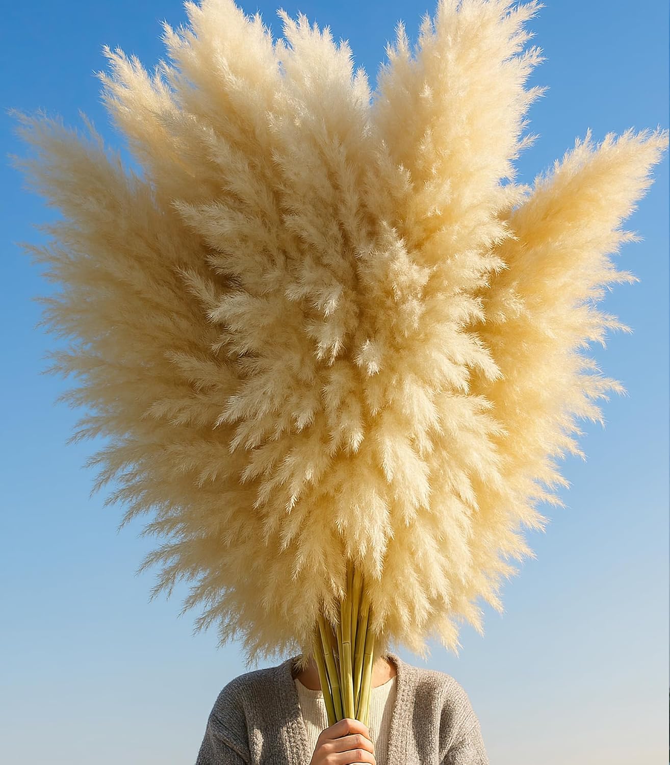 65PCS Pampas Grass Decor, Including pompas Floral, Reed Dried Grass and Bunny Tails Dried Flowers, Natural Dried Pampas Grass Bouquet for Boho Decor Wedding, Home Decoration