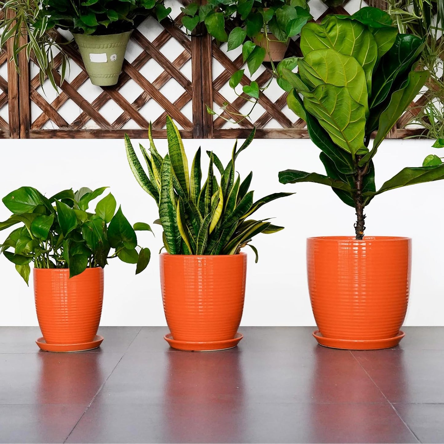 Ceramic Pots for Plants - 6 Inch Plant Pot with Drainage Hole and Saucer, Round Planters for Indoor Outdoor, Flower Pots, Modern Planter, Home Office Room Decor, Gifts for Plant Lovers, White