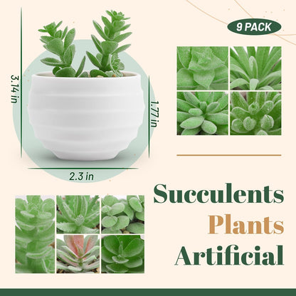 Der Rose 6 Pack Fake Plants Small Realistic Succulents Plants Artificial for Home Room Decor Indoor