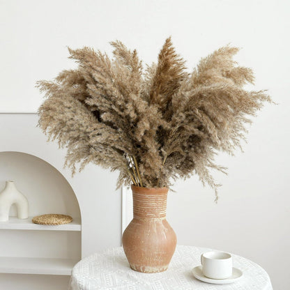 Pampas Grass Decor, Natural Dry Pampas Grass Small, Short Pampass Bulk for Farmhouse, Wall, Kitchen, Bedroom Decor, Office Decor (17 inch )