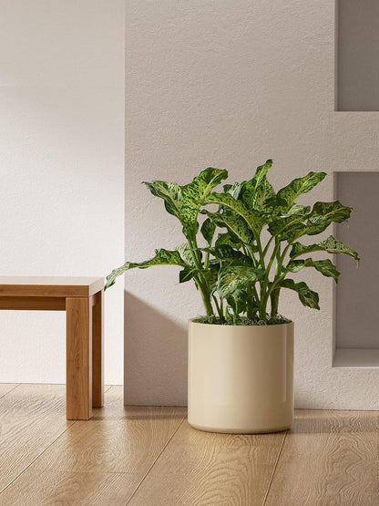 LE TAUCI 12 Inch Pot for Plants, Ceramic Planters for Indoor Plants, Mid-Century Modern Cylinder Flower Pots with Drainage Hole, Fits Fiddle Leaf Fig & Monstera, Home Decor, White