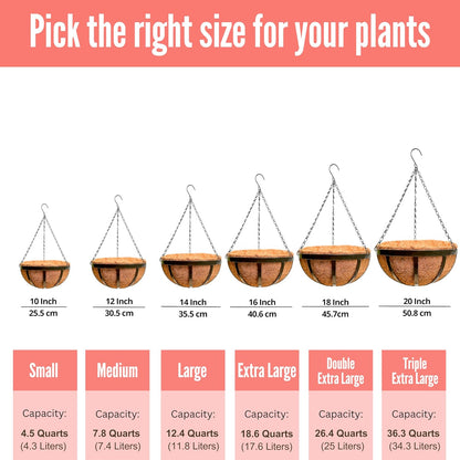 LaLaGreen Outdoor Hanging Baskets for Plants (12 Inch, 6 Pack) Medium Hanging Planter with Coco Liner, Flat Iron Metal Round Plant Flower Pots for Deck Patio Porch Garden Balcony Outside Decoration