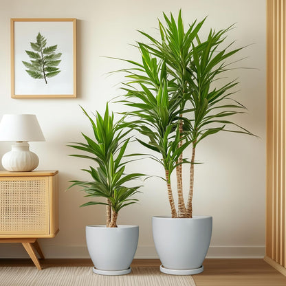 Plant Pots Indoor, Ceramic Planters Pots with Drainage Holes and Saucers, 10+8+6 Inch, Set of 3, Round Large Flower Pots for Indoor Outdoor Plants, Blue