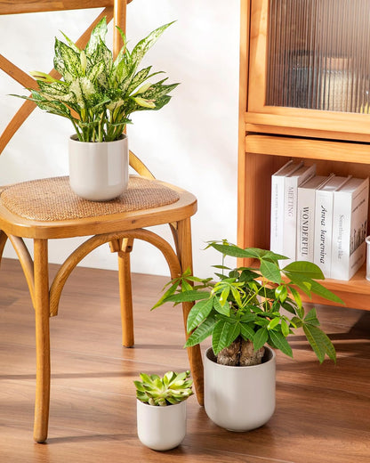 vancasso Ceramic Plant Pots, 4+5+6 inches, Set of 3, Planters with Drainage Hole, Flower Pots Planters Pots for Indoor Plants, Modern Indoor Decorative Garden Pot, Home Decor, White