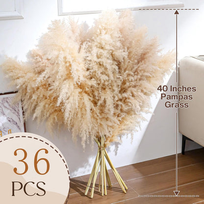Pasuvsigt 12pcs 40'' Dried Pampas Grass Decor - Tall-Large Pampas Grass - Natural Beige - Boho Home Decor