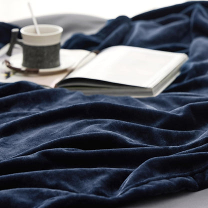 Bedsure GentleSoft Fleece Throw Blanket for Couch Grey - Lightweight Plush Fuzzy Cozy Soft Blankets and Throws for Sofa, Couch, Travel, Camping, 50x60 inches - Colors B