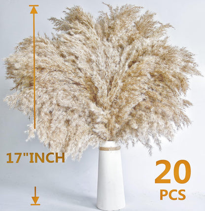 60 PCS Boho Decor, Fluffy Pompas Grass, Natural Dry Pampas Grass Small, Short Pampass Bulk for Boho Room Decor, Coffee Table Decor (17 inch )