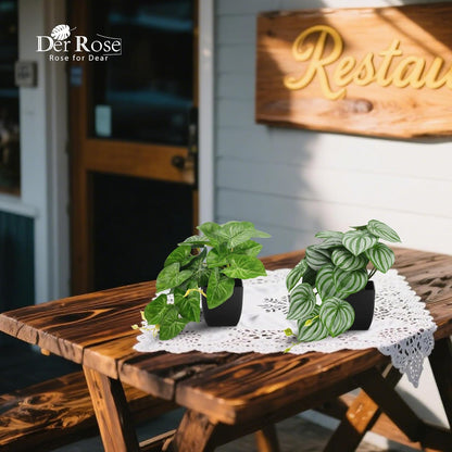 Der Rose 2Pcs Small Fake Plants Artificial Mini Faux Plants for Bathroom Office Desk Shelf Table Accessories Decor Indoor