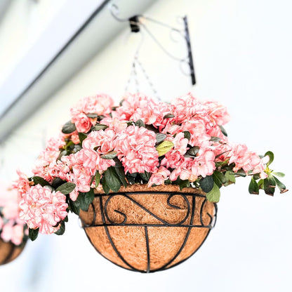 LaLaGreen Hanging Planter for Outdoor Plants (12 Inch, 2 Pack) Hanging Baskets with Coco Liner, Black Metal Wire Flower Basket Pots with Hook Hanger Balcony Porch Farmhouse Country Style Garden Decor