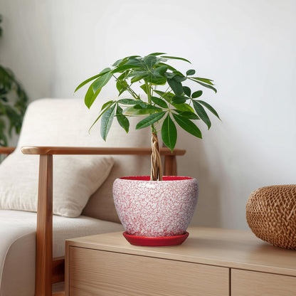 6 Inch Plant Pot - Ceramic Pots for Plants with Drainage Hole and Saucer, Round Succulent Planter Indoor Outdoor, Modern Flower Pot for Snake Plants, Home Decor, Gifts for Plant Lover, Blue