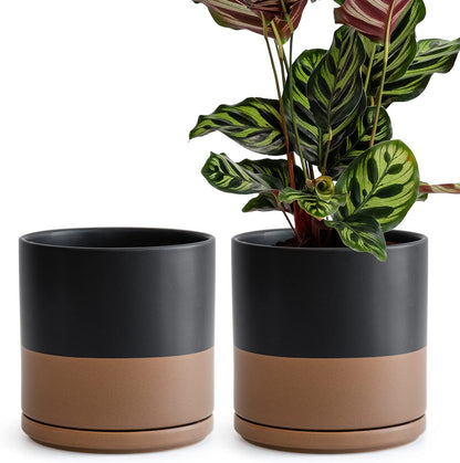 D'vine Dev Set of 2 Plants Pots, 6.5 Inch Ceramic Planter Pot for Plants with Drainage Hole and Saucer, White, 94-V-C-1