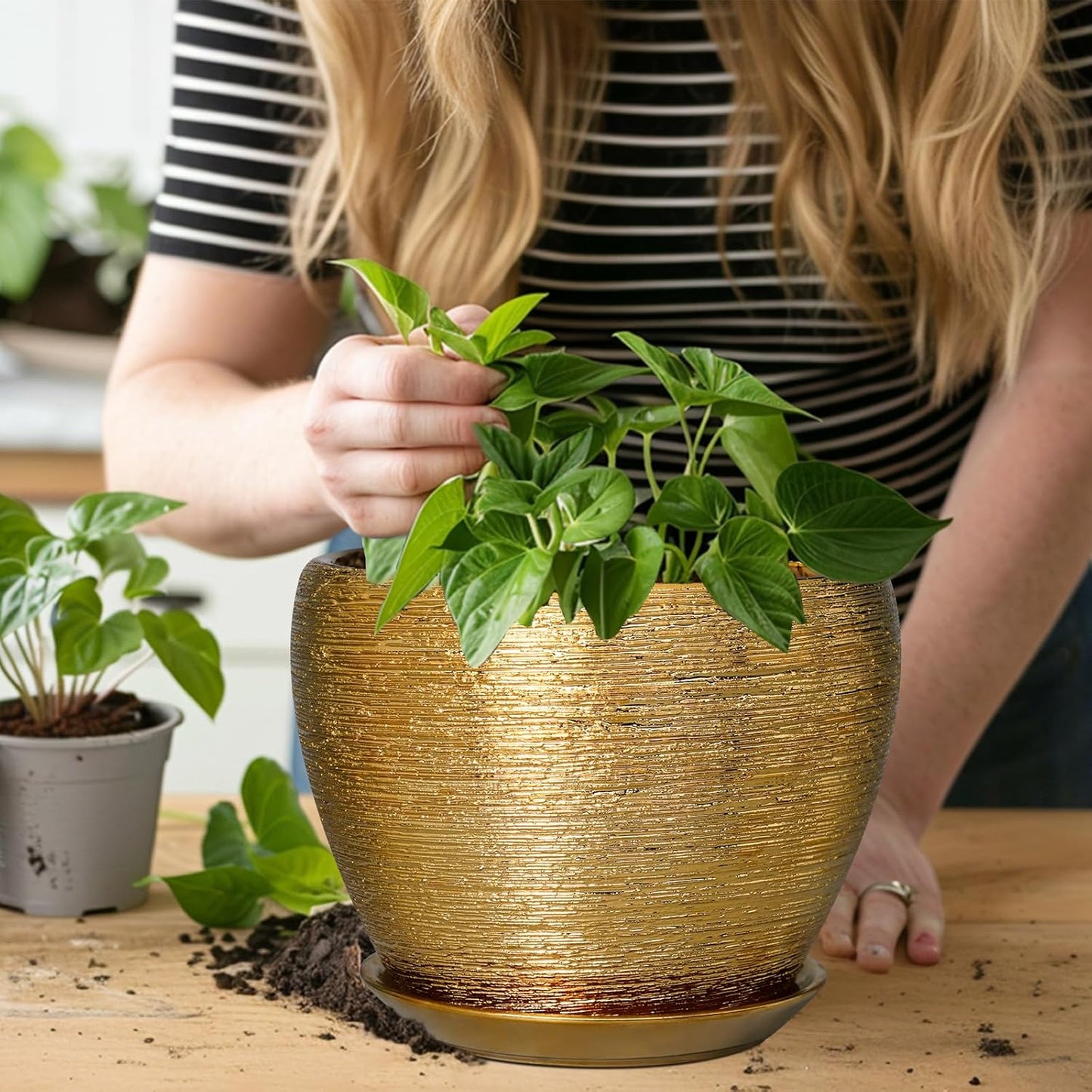 Ceramic Modern Glaze Succulent Planter Pot with Drainage Hole and Saucer 6 Inch Round Flower Plant Pot for Indoor Outdoor Herb Snake Plants