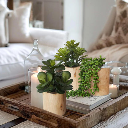 Artificial Succulents with Pots - Set of 3 Small Fake Plants for Aesthetic Room Decor - Realistic Mini Faux Greenery for Office Desk, Bookshelf, and Bathroom - Modern Home Accents