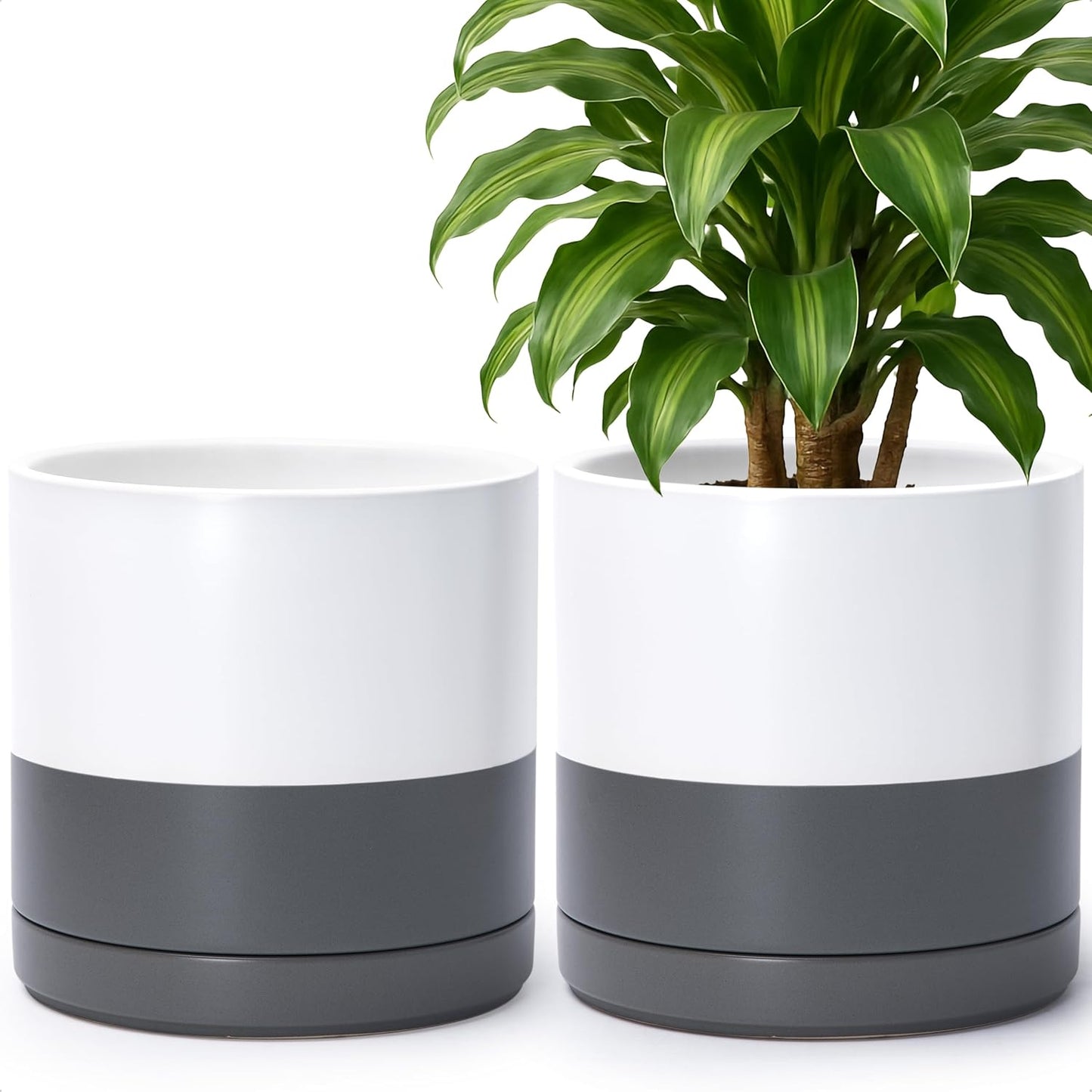 D'vine Dev Set of 2 Plants Pots, 6.5 Inch Ceramic Planter Pot for Plants with Drainage Hole and Saucer, White, 94-V-C-1