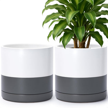 D'vine Dev Set of 2 Plants Pots, 6.5 Inch Ceramic Planter Pot for Plants with Drainage Hole and Saucer, White, 94-V-C-1