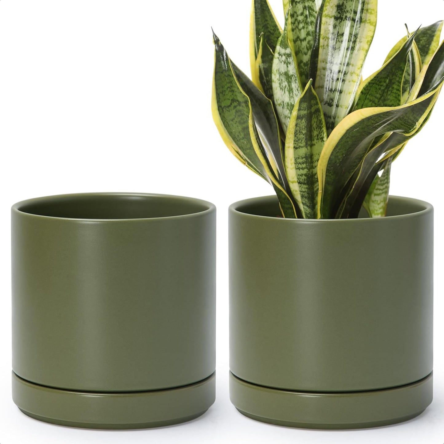 D'vine Dev Set of 2 Plants Pots, 6.5 Inch Ceramic Planter Pot for Plants with Drainage Hole and Saucer, White, 94-V-C-1