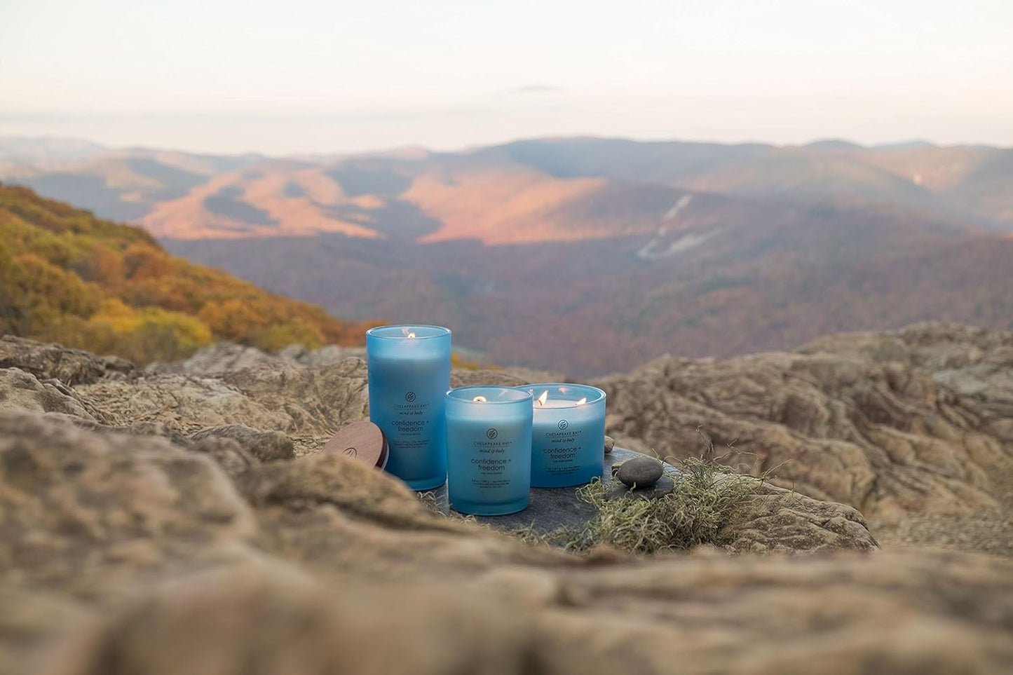 Chesapeake Bay Candle PT40886 Scented Candle Awaken + Invigorate (Lemongrass Eucalyptus) Medium Green Home Décor