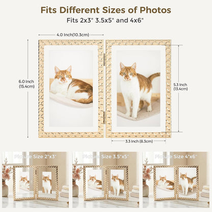 RICHFOCUS Gold 5x7 Floating Picture Frame for Photo 4x6 3.5x5 | 5 x 7 Metal Picture Frames with Double Glass for Tabletop|Modern Photo Frames Wedding|Home Decor