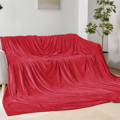 BEDELITE Fleece Blanket Black Throw Blankets for Couch & Bed, Luxury Plush Cozy Fuzzy Blanket 50x60 inches, Super Soft Warm Lightweight Throw Blanket for Travel Camping - Colors B