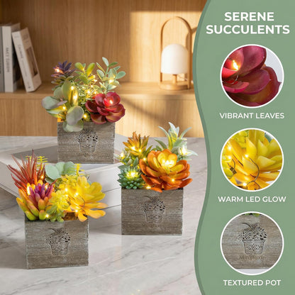Succulent Plants Artificial, 3 Pack Small Fake Plants in Wood Pot for Home Decor, Farmhouse Artificial Plants Indoor for Living Room Bathroom Bedroom Office Kitchen Desk Wedding Coffee Table Decor
