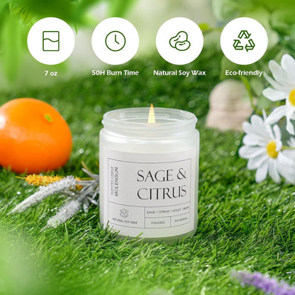 Molensun Lemon Eucalyptus Scented Candles, Aromatherapy Jar Candle, 7 oz Long Lasting Candles, Soy Wax Candle Gift for Women