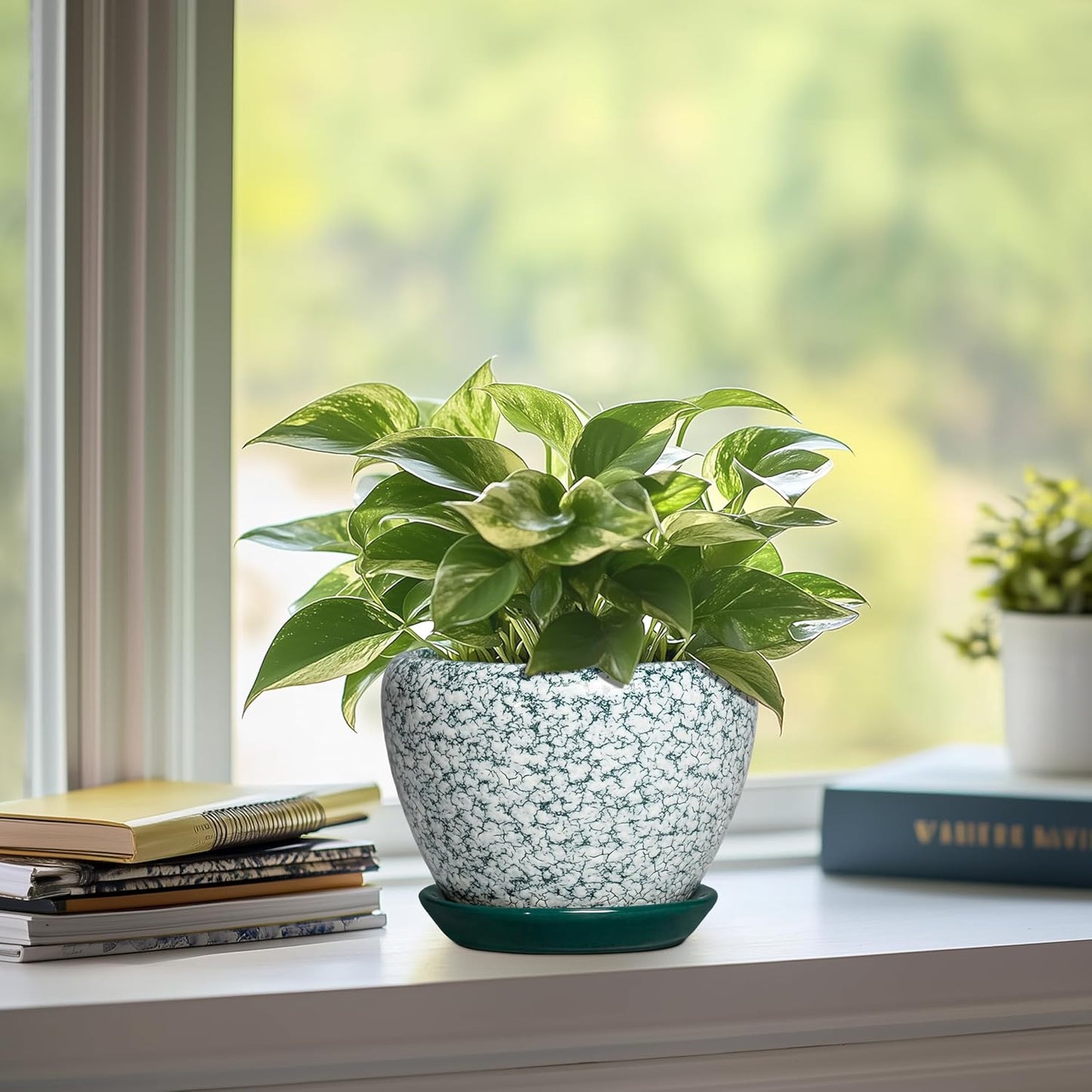 6 Inch Plant Pot - Ceramic Pots for Plants with Drainage Hole and Saucer, Round Succulent Planter Indoor Outdoor, Modern Flower Pot for Snake Plants, Home Decor, Gifts for Plant Lover, Blue