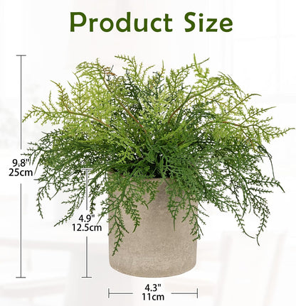 Briful Small Fake Plant Potted Plants Artificial Decor Plastic Asparagus Ferns Plant Faux Plants in Pots for Home Living Room Bedroom Desk Shelf Farmhouse Decoration