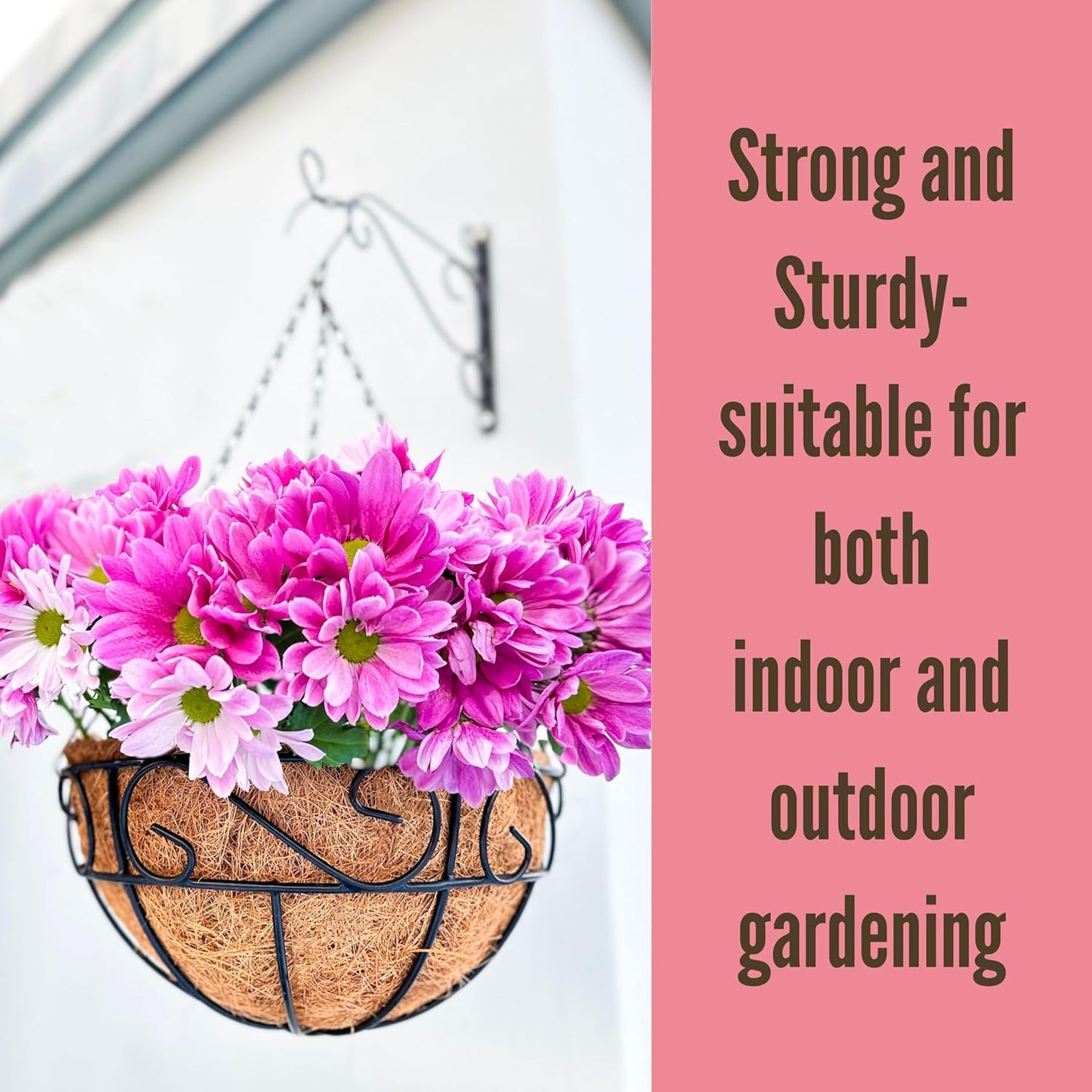 LaLaGreen Hanging Planter for Outdoor Plants (12 Inch, 2 Pack) Hanging Baskets with Coco Liner, Black Metal Wire Flower Basket Pots with Hook Hanger Balcony Porch Farmhouse Country Style Garden Decor
