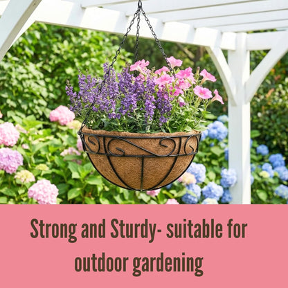 LaLaGreen Hanging Planter for Outdoor Plants (12 Inch, 2 Pack) Hanging Baskets with Coco Liner, Black Metal Wire Flower Basket Pots with Hook Hanger Balcony Porch Farmhouse Country Style Garden Decor