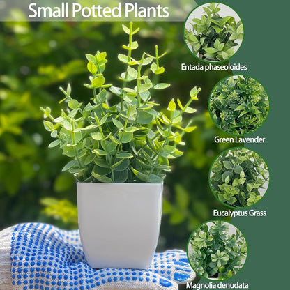 2 Pack Artificial Potted Plants Small Fake Eucalyptus - 7.5 Inch Mini Indoor Plants for Shelf, Desk, Bathroom Decor, Mantel Real Touch Faux Greenery (Sage Green)