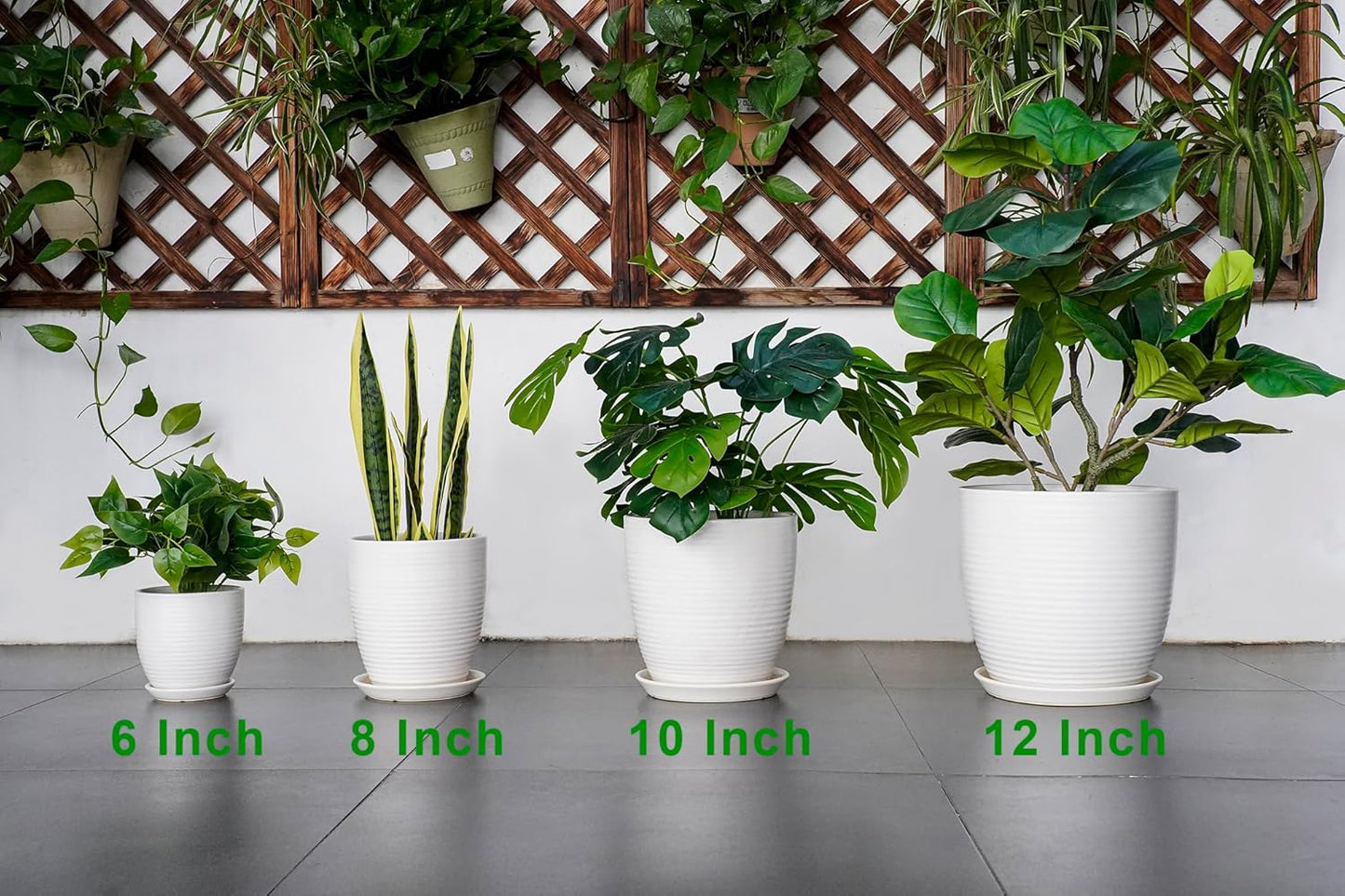 Ceramic Pots for Plants - 6 Inch Plant Pot with Drainage Hole and Saucer, Round Planters for Indoor Outdoor, Flower Pots, Modern Planter, Home Office Room Decor, Gifts for Plant Lovers, White