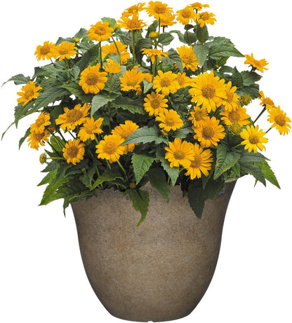 Classic Home and Garden Honeysuckle Resin Planters - Lightweight Indoor & Outdoor Plant Pots - UV-Resistant Plastic Flower Pots - Pot Planters for Flowers & Herbs (15" Distressed Copper)