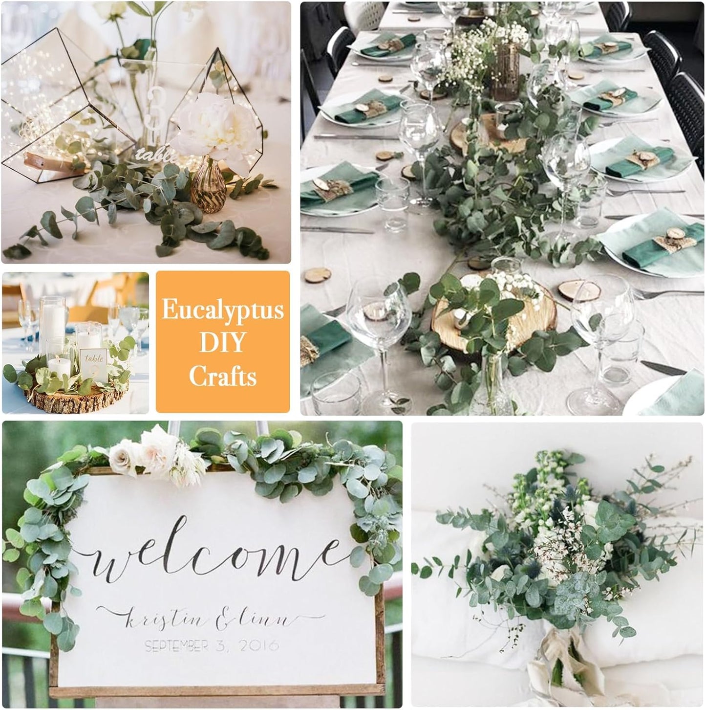 12PCS Dried Eucalyptus for Shower Hanging - 17'' Real Large Preserved Eucalyptus Stems Green Home Decor, 100% Made from Fresh Eucalyptus Leaves, Bathroom Shower Decor, Wedding, DIY