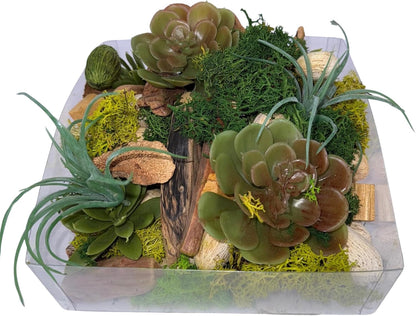 ANDALUCA Maison Box Fragrance Potpourri Decorative Vase & Bowl Filler Home Décor (Coconut Sandalwood)