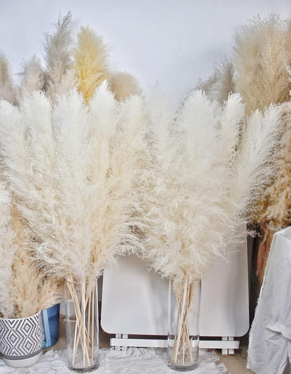 10 PCS Beige Pampas Grass Decor, Naturally Dried Pompas, Bunny Tails Dried Flowers, and Dried Eucalyptus. Perfect for Weddings, Boho Party Decorations, and Table Decor(17inch)
