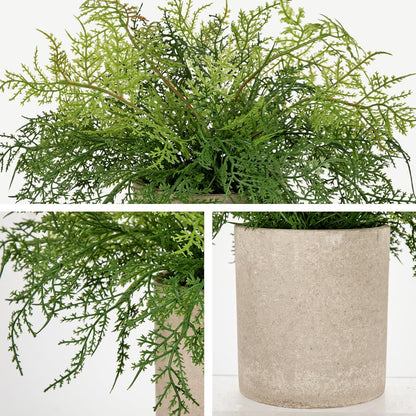 Briful Small Fake Plant Potted Plants Artificial Decor Plastic Asparagus Ferns Plant Faux Plants in Pots for Home Living Room Bedroom Desk Shelf Farmhouse Decoration