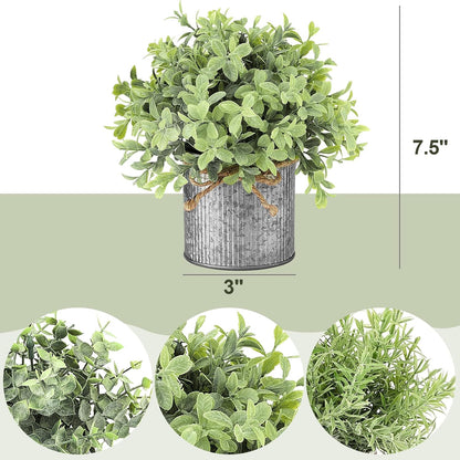 Mkono 3 Pack Small Fake Plants in Black Galvanized Metal Pots Artificial Eucalyptus Plants for Christmas Decorations Shelf Desk Home Farmhouse Room Coffee Table Bathroom Decor