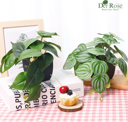 Der Rose 2Pcs Small Fake Plants Artificial Mini Faux Plants for Bathroom Office Desk Shelf Table Accessories Decor Indoor